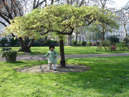 1 April 4.jpg